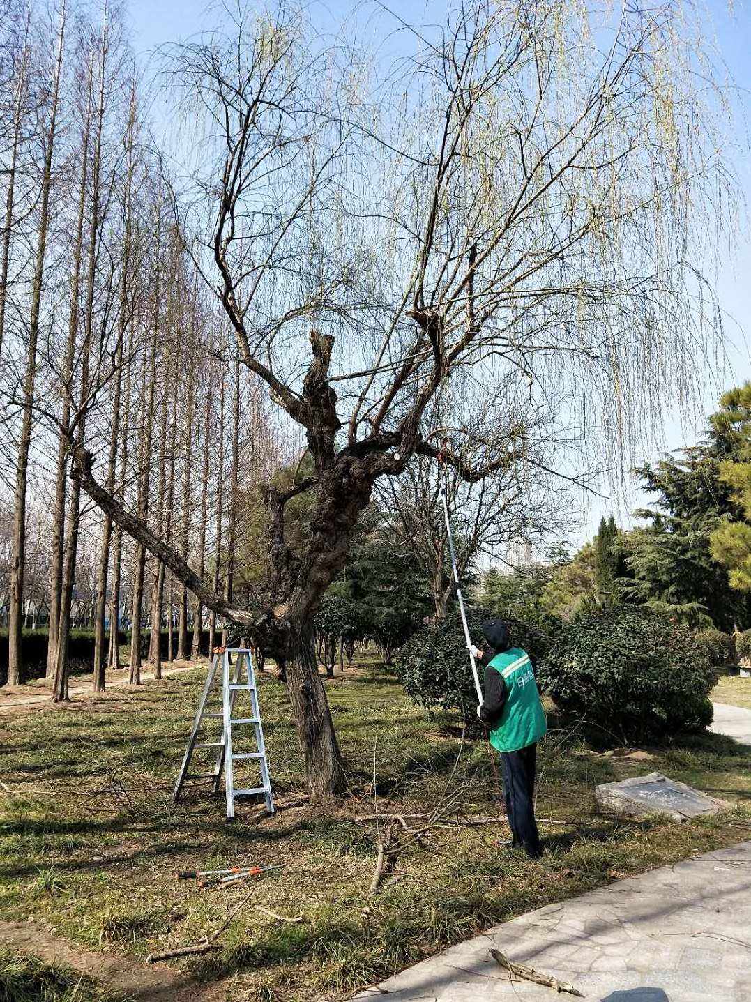 清墩苹果版苹果iphone官网入口下载-第2张图片-太平洋在线下载